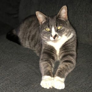 Meet your Posher, Christine